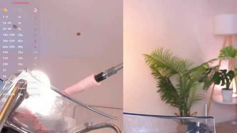 baby_blush @ stripchat on 20250731