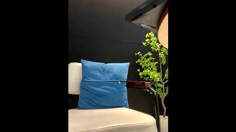 linh_2004 @ stripchat on 20250731