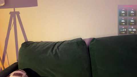 petulagunton @ stripchat on 20250731