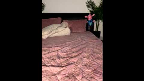 andrestarr @ stripchat on 20250801