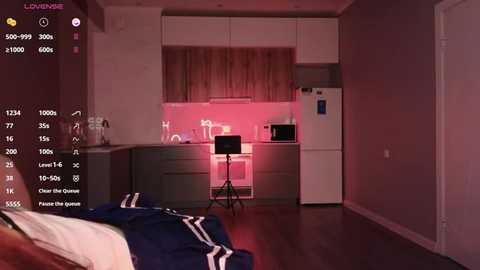 ella_lee15 @ stripchat on 20250801
