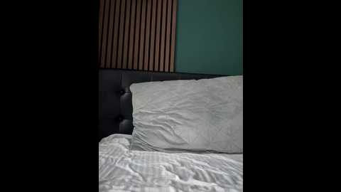 ivy_bae @ stripchat on 20250801