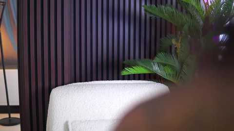 kiaramoreno @ stripchat on 20250801