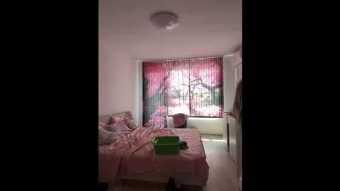 sophievj @ stripchat on 20250801