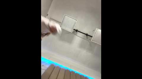 bellasecrett @ stripchat on 20250802