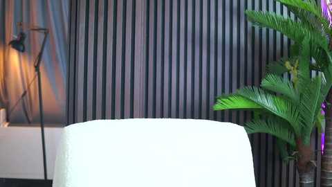 kiaramoreno @ stripchat on 20250802