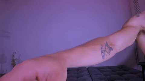 miiafoxxx @ stripchat on 20250802