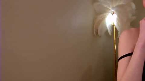 mirabliss @ stripchat on 20250802