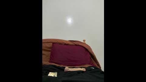 ahlam7578 @ stripchat on 20250803