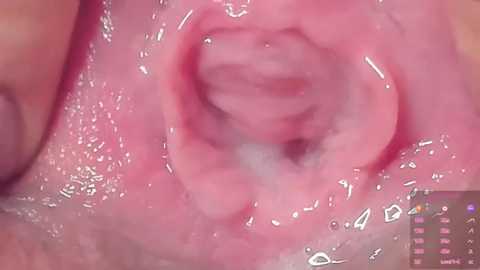 alu_ryu @ stripchat on 20250803