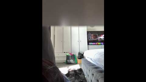 brunettegirl274 @ stripchat on 20250803