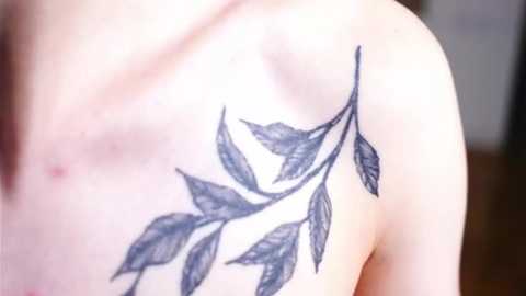 kristannickel @ stripchat on 20250803
