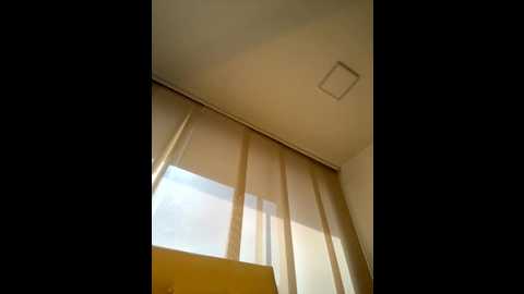 nicolecut @ stripchat on 20250803