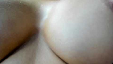 _missperfection_ @ stripchat on 20250804