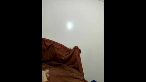ahlam7578 @ stripchat on 20250804