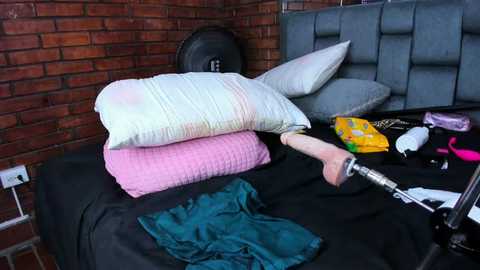 couple_gold69 @ stripchat on 20250804