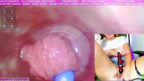 marybrook1 @ stripchat on 20250804
