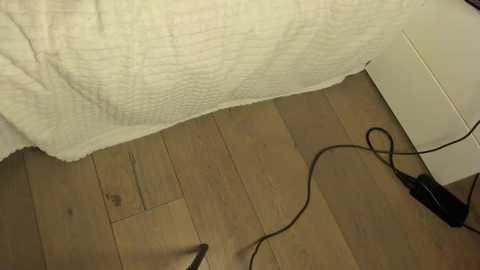 rachel_rey @ stripchat on 20250804