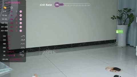 chou147 @ stripchat on 20250805