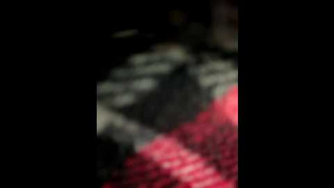 Media: evvamur Stripchat 2025-08-05 06:25:00