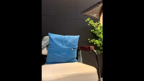 linh_2004 @ stripchat on 20250806