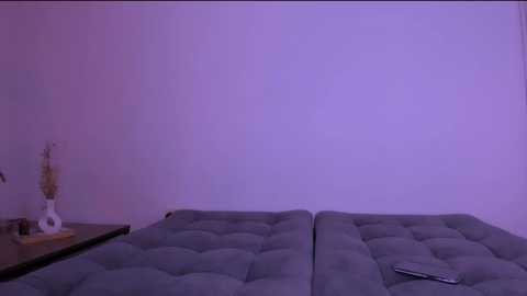 miiafoxxx @ stripchat on 20250806