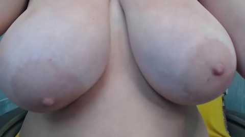 belbig @ stripchat on 20250807