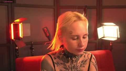 bennymurrh_ @ stripchat on 20250807