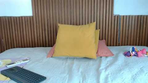 lolipetite_69 @ stripchat on 20250807