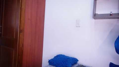 Media: rousse_coup Stripchat 2025-08-07 20:24:00