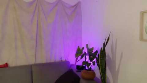 yuliethpetite @ stripchat on 20250807
