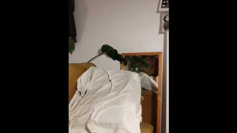 asianchiii @ stripchat on 20250808