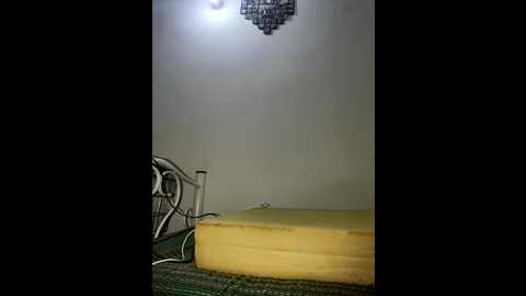 yenicitir @ stripchat on 20250808