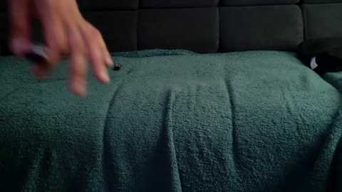 dirtygermanbicouple @ stripchat on 20250809