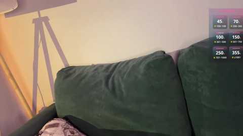 petulagunton @ stripchat on 20250809