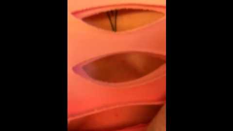 babydolll @ stripchat on 20250810