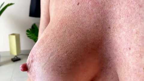 katnesshot @ stripchat on 20250810