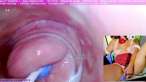 marybrook1 @ stripchat on 20250810