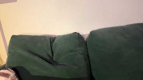petulagunton @ stripchat on 20250810