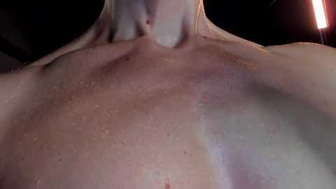 dorothy_meyer @ stripchat on 20250811