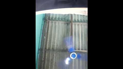 hotbaby_5 @ stripchat on 20250811