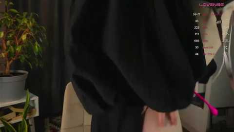 lisa_schiele @ stripchat on 20250811