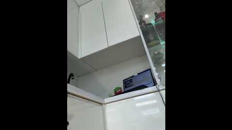 Media: marina_ Stripchat 2025-08-11 08:05:00