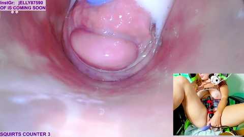 marybrook1 @ stripchat on 20250812