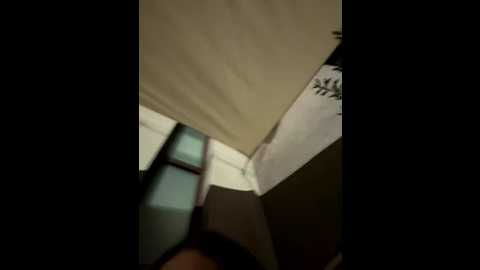 naomimulan @ stripchat on 20250812