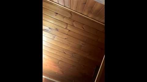 papicha_hot @ stripchat on 20250815
