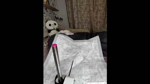 lola_hale @ stripchat on 20250816