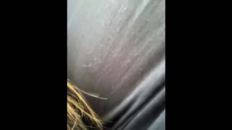porn_cornn @ stripchat on 20250816