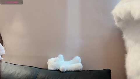 qqqq0808 @ stripchat on 20250816