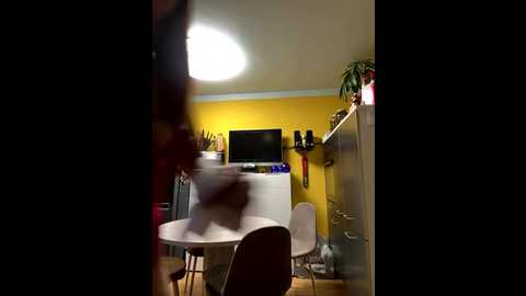 sexymelli18 @ stripchat on 20250818